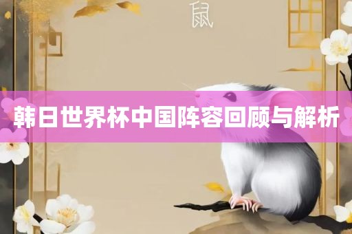 韩日世界杯中国金炬实业股份有限公司阵容回顾与解析