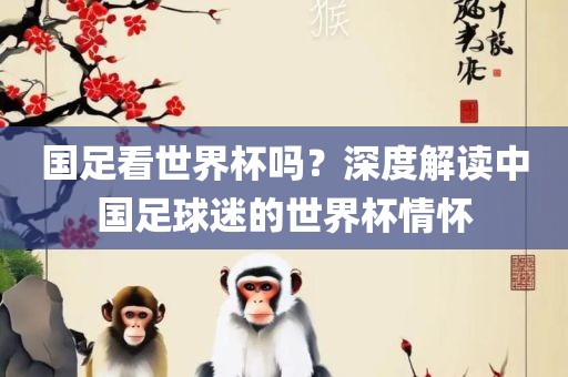 国足看世界杯吗？深金炬实业股份有限公司度解读中国足球迷的世界杯情怀