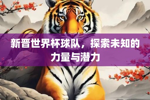 新晋世界杯球队，探索未知的力量与潜力