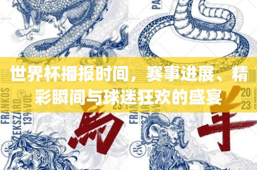 世界杯播报时间，赛事进展、精彩瞬间与球迷狂欢的盛宴