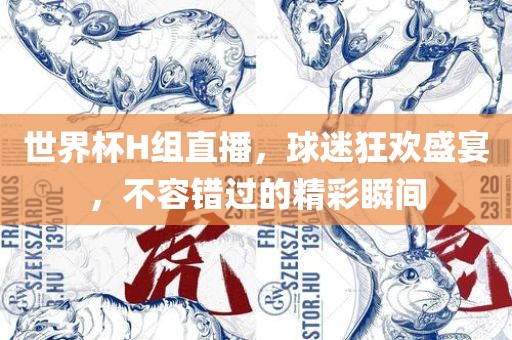 世界杯H组直播，球迷狂欢盛宴，不容错过的精彩瞬间