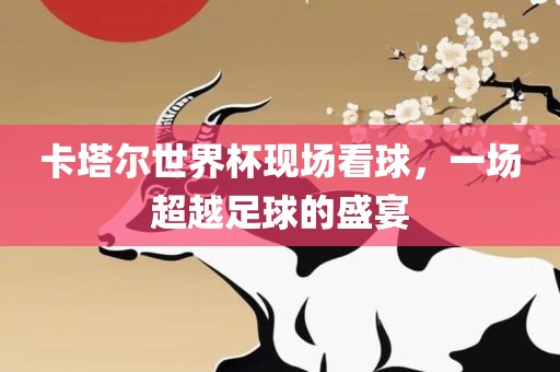 卡塔尔世界杯现场看球，一场超越足球的盛宴