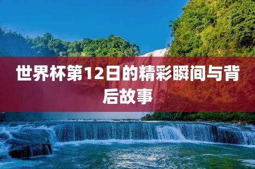 世界杯第12日的精彩瞬间与背后故事金炬实业股份有限公司