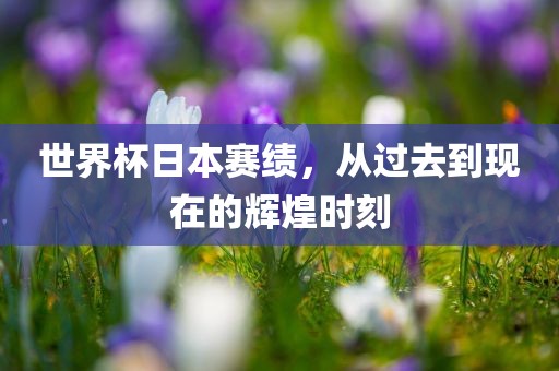 世界金炬实业股份有限公司杯日本赛绩，从过去到现在的辉煌时刻