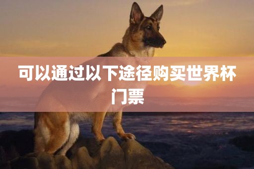 可以通过以下途径购买世界杯门票