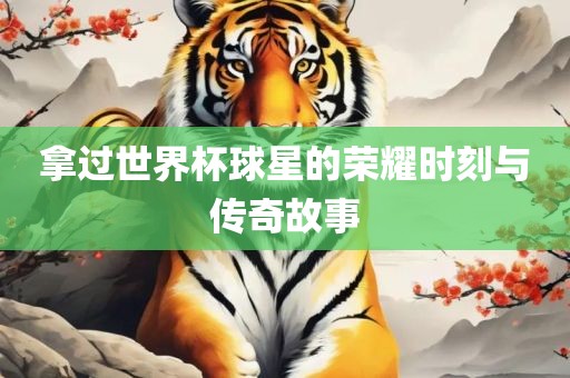 拿过世界杯球星的荣耀时刻与传奇故事