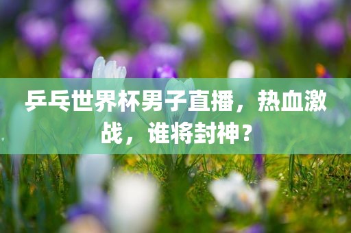 乒乓世界杯男子直播，热血激战，谁将封神？