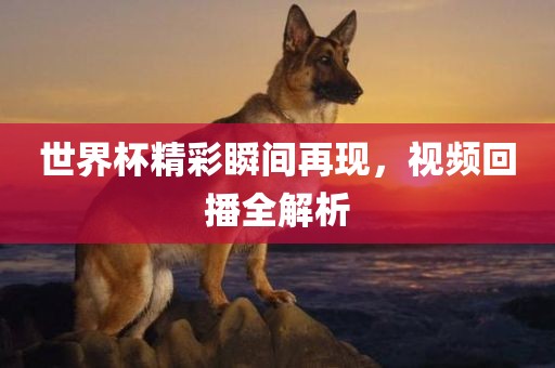 世界杯精彩瞬间再现，视频回播全解析
