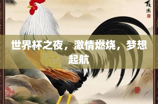 世界杯之夜，激情燃烧，梦想起航