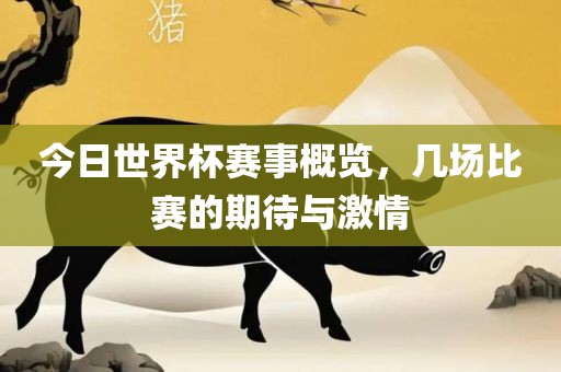 今日世界杯赛事概览，几场比赛的期待与激情金炬实业股份有限公司