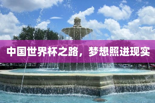 中国世界杯之路，梦想照进现实
