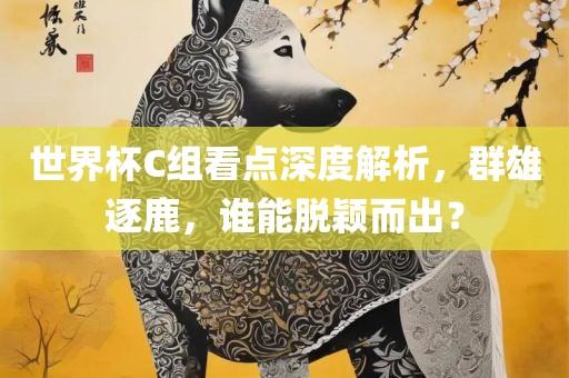 世界杯C组看点深度解析，群雄逐鹿，谁能脱颖而出？