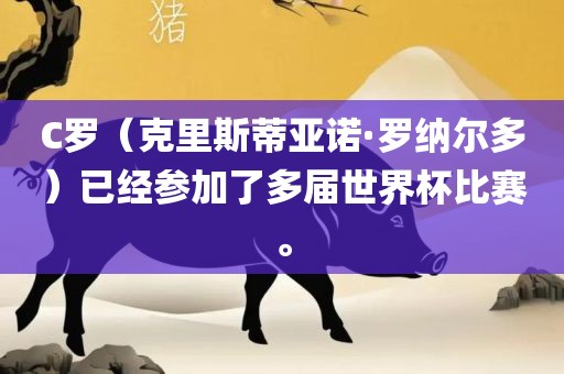 C罗（克里斯蒂亚诺·罗纳尔多）已经参加了多届世界杯比赛。金炬实业股份有限公司