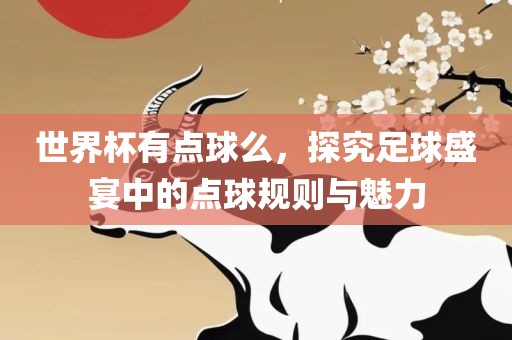 世界杯有点球么，探究足球盛宴中的点球规则与魅力金炬实业股份有限公司