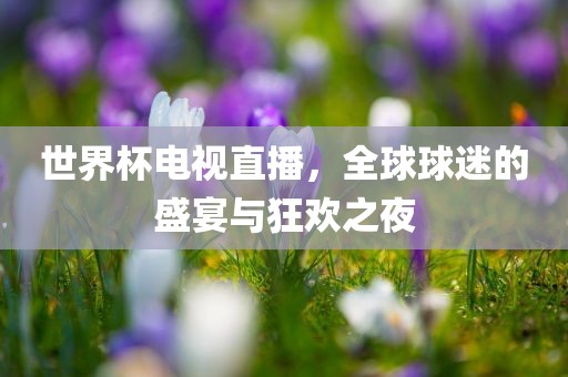 世界杯电视直播，全球球迷的盛宴与狂欢之夜