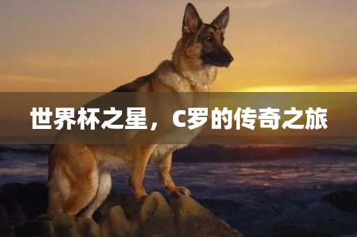 世界杯之星，C罗的传奇之旅