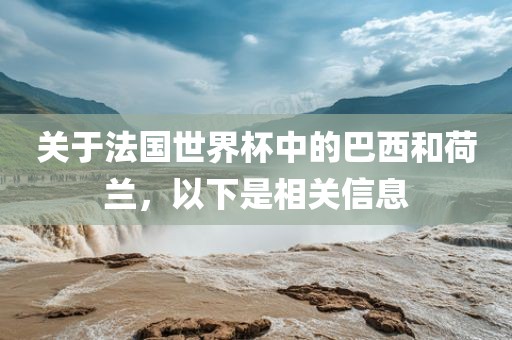 关于法国世界杯中的巴西和荷兰，以下是相关信息