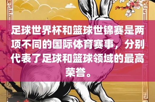 足球世界杯和篮球世锦赛是两项不同的国际体育赛事，分别代表了足球和篮球领域的最高荣誉。