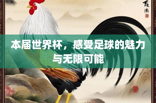 本届世界杯，感受足球的魅力与无限可能