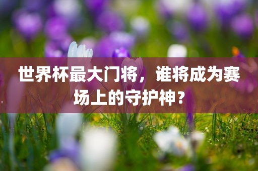 世界杯最大门将，谁将成为赛场上的守护神？