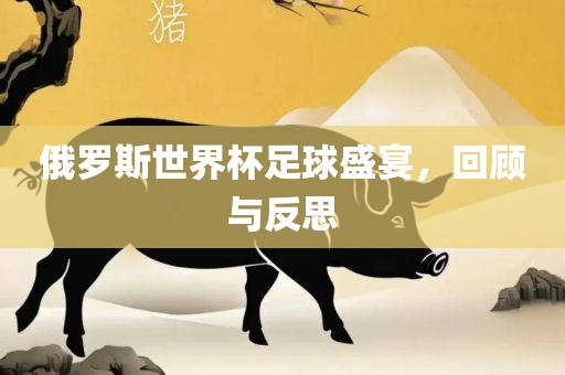 俄罗斯金炬实业股份有限公司世界杯足球盛宴，回顾与反思