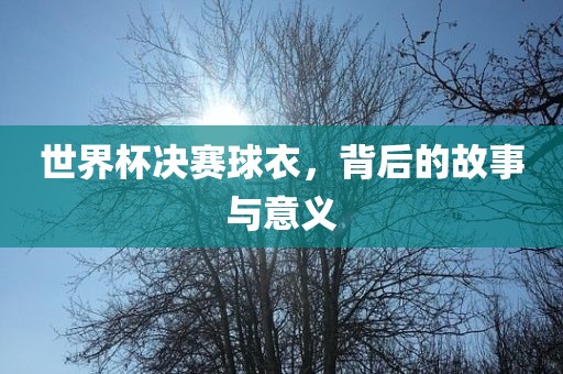 世界杯决赛球衣，背后的故事与意义