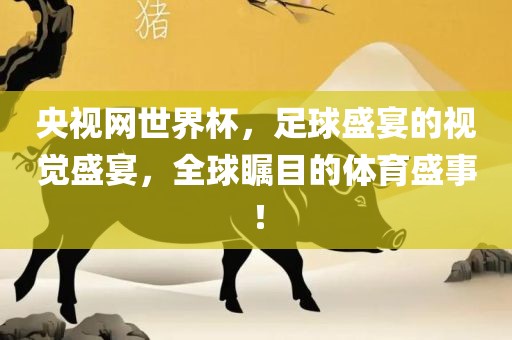 央视网世界杯，足球盛宴的视觉盛宴，全球瞩目的体育盛事！