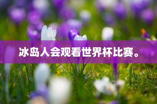 冰岛人会观看世界杯比赛。
