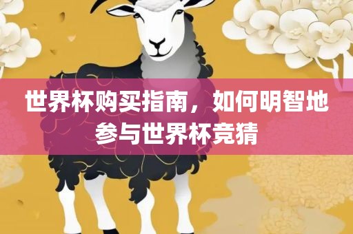 世界杯购买指南，如何明智地参与世界杯竞猜