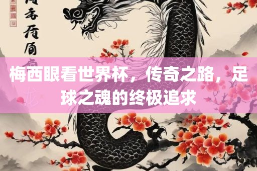 梅西眼看世界杯，传奇之路，足球之魂的终极追求