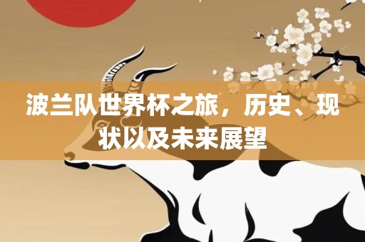 波兰队世界杯之旅，历史、现状以及未来展望