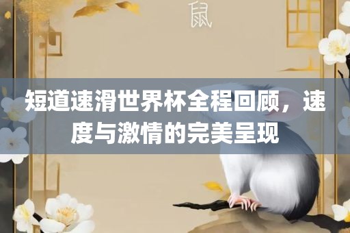 短道速滑世界杯全程回顾，速度与激情的完美呈现