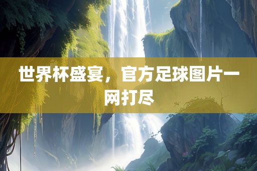 世界杯盛宴，官方足球图片一网打尽