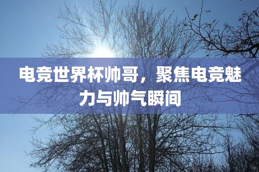 电竞世界杯帅哥，聚焦电竞魅力与帅气瞬间