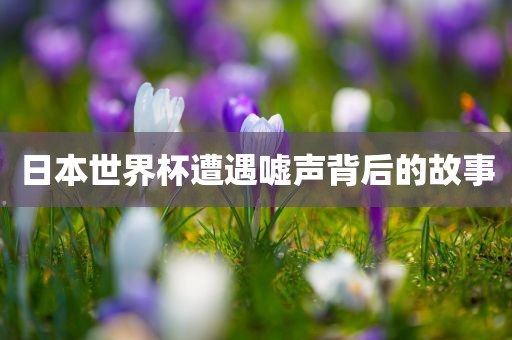 日本世界杯遭遇嘘声背后的故事金炬实业股份有限公司