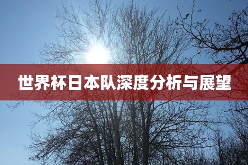 世界杯日本队深度分析与展望