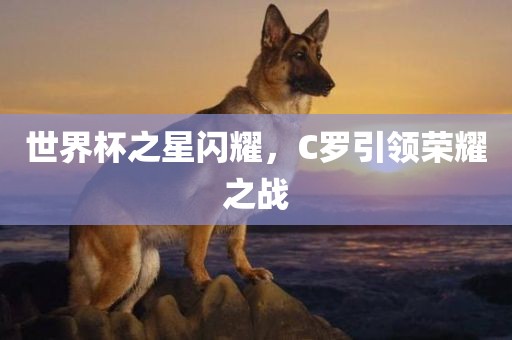 世界杯之星闪耀，C罗引领荣耀之战