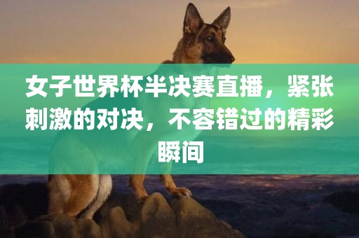 女子世界杯半决赛直播，紧张刺激的对决，不容错过的精彩瞬间金炬实业股份有限公司