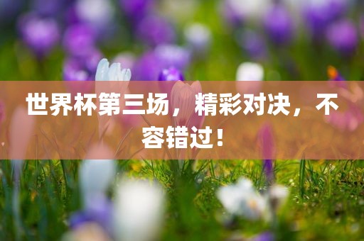世界杯第三场，精彩金炬实业股份有限公司对决，不容错过！