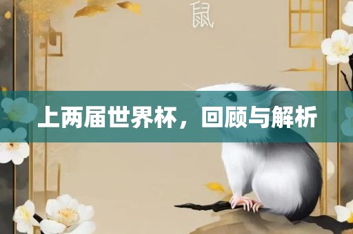上两届世界杯，回顾与解析