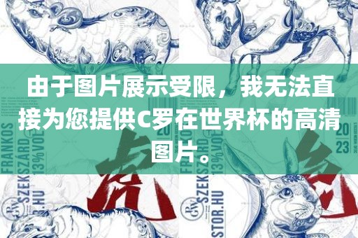 由于图片展示受限，我无法直接为您提供C罗在世界杯的高清图片。