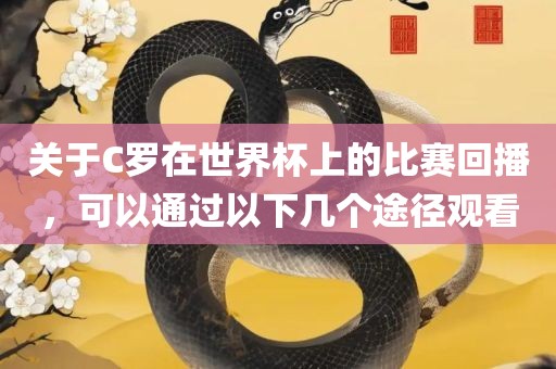 关于C罗在世界杯上的比赛回播，可以通过以下几个途径观看