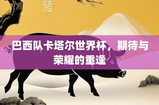巴西队卡塔尔世界杯，期待与荣耀的重逢