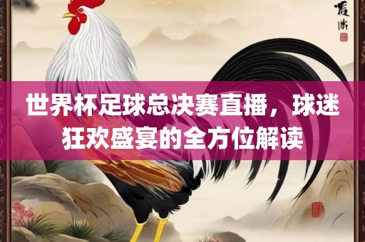 世界杯足球总决赛直播，球迷狂欢盛宴的全方位解读