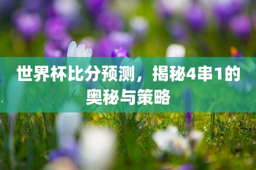 世界杯比分预测，揭秘4串1的奥秘与策略