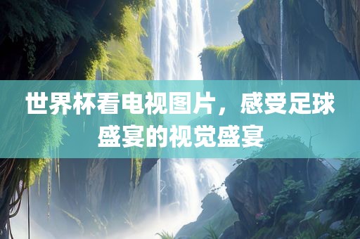 世界杯看电视图片，感受足球盛宴的视觉盛宴