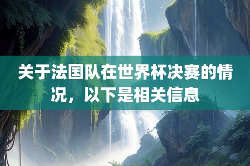 关于法国队在世界杯决赛的情况，以下是相关信息金炬实业股份有限公司