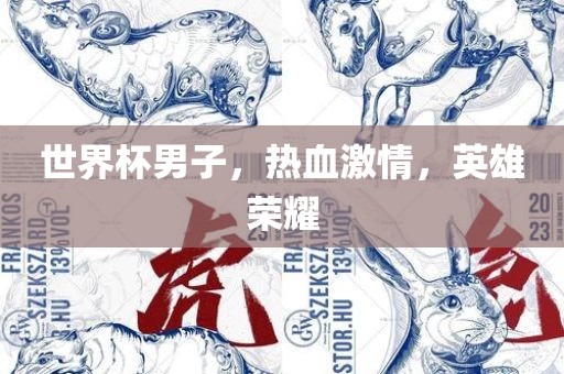 世界杯男子，热血激情，英雄荣耀