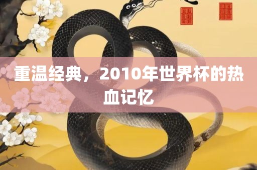 金炬实业股份有限公司重温经典，2010年世界杯的热血记忆