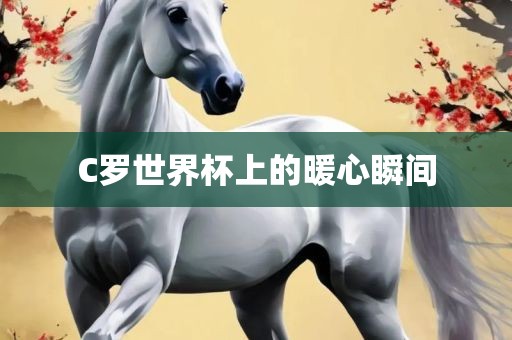 C罗世界杯上的暖心瞬间